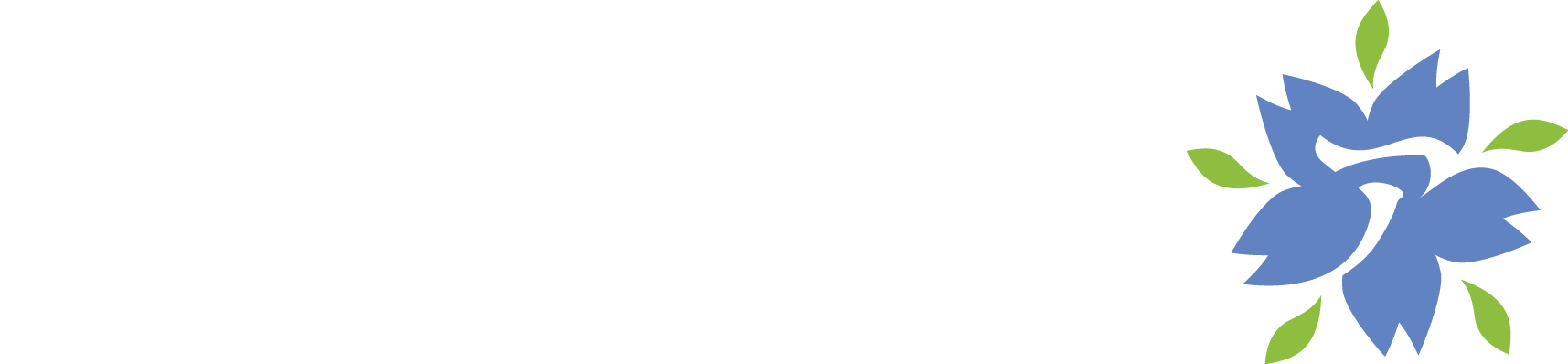 Stowarzyszenie Animatsuri